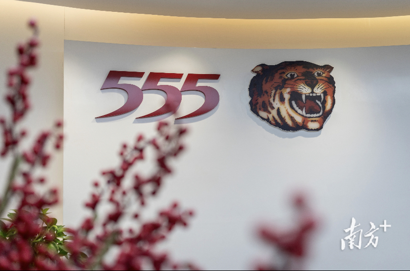 Новости Nanfang Daily специальный репортаж о батарее Tiger Head